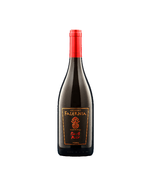 Rode wijnen  Pinot Noir Gran Reserva D.O. Elqui Valley 2018 - Viña Falernia 14,50 â‚¬ Rode wijnen  Pinot Noir Gran Reserva D.O. Elqui Valley 2018 - Viña Falernia 14,50 â‚¬