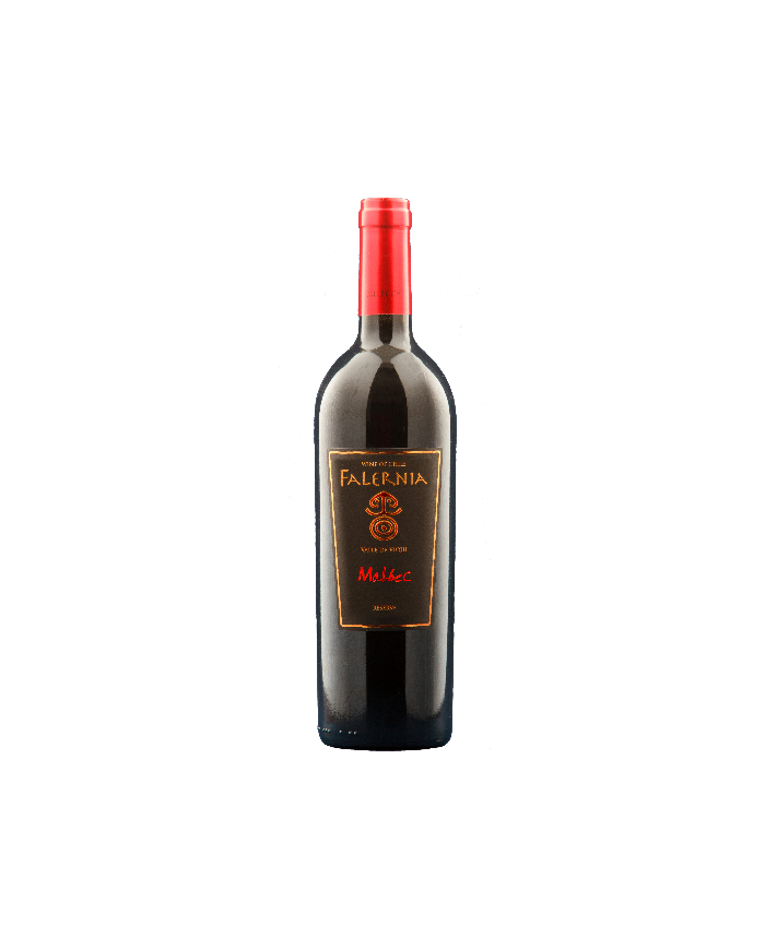 Red Wines  Malbec Gran Reserva D.O. Elqui Valley 2019 - Viña Falernia 17,12 €