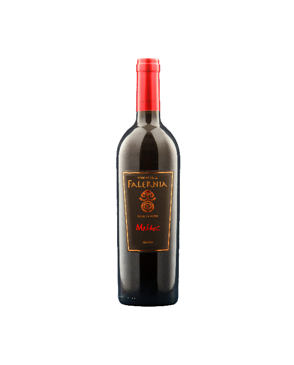 Rode wijnen  Malbec Gran Reserva D.O. Elqui Valley 2019 - Viña Falernia 17,12 â‚¬ Rode wijnen  Malbec Gran Reserva D.O. Elqui Valley 2019 - Viña Falernia 17,12 â‚¬