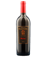 Red Wines  Malbec Gran Reserva D.O. Elqui Valley 2019 - Viña Falernia 17,12 €