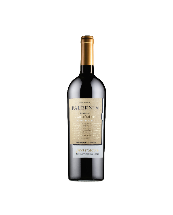 Rode wijnen  Pedriscal Carmenere Reserva 2018 - Viña Falernia 14,93 â‚¬ Rode wijnen  Pedriscal Carmenere Reserva 2018 - Viña Falernia 14,93 â‚¬