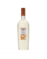 Vini Bianchi  ULISSE Pecorino Terre di Chieti IGP 2023 Premium - Tenuta Ulisse 12,79&nbsp;€