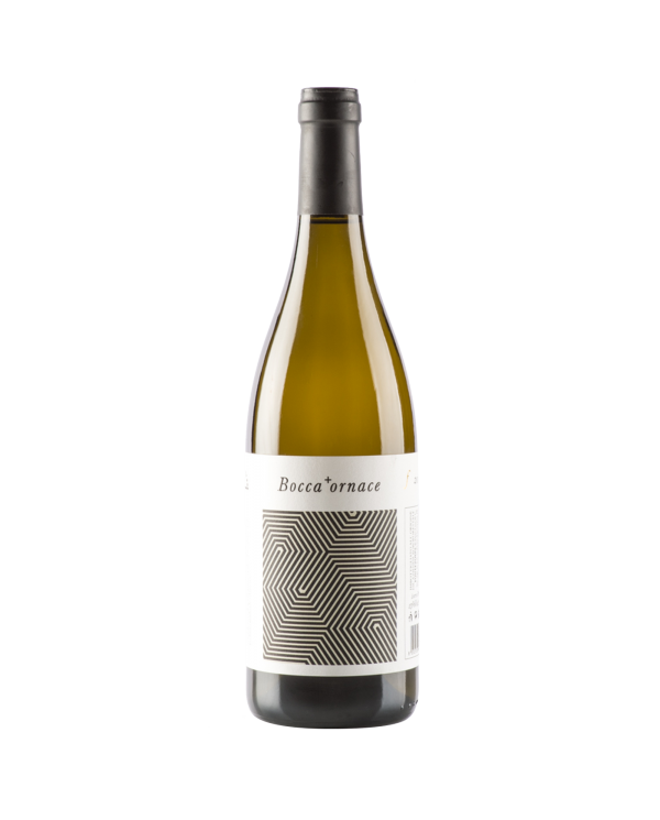 White wines  Falerio DOC Pecorino 2022 - Boccafornace 6,72 €