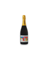 Schaumweine  Metodo Classico Pinot Nero Nature Luogo d'Agosto – Alessio Brandolini 21,70 €