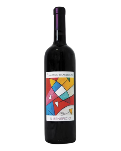 Red Wines  Il Beneficio Provincia di Pavia IGT 2017 – Alessio Brandolini 17,80 €