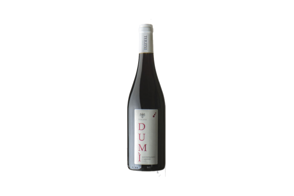 Vini Rossi  Dumì Montepulciano d’Abruzzo DOP 2019 - Terzini 6,09&nbsp;€
