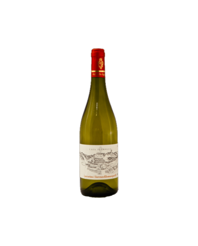 White wines  Casa Scamolla Pecorino Colline Pescaresi I.G.T. 2020 - Filomusi Guelfi 14,75 € White wines  Casa Scamolla Pecorino Colline Pescaresi I.G.T. 2020 - Filomusi Guelfi 14,75 €