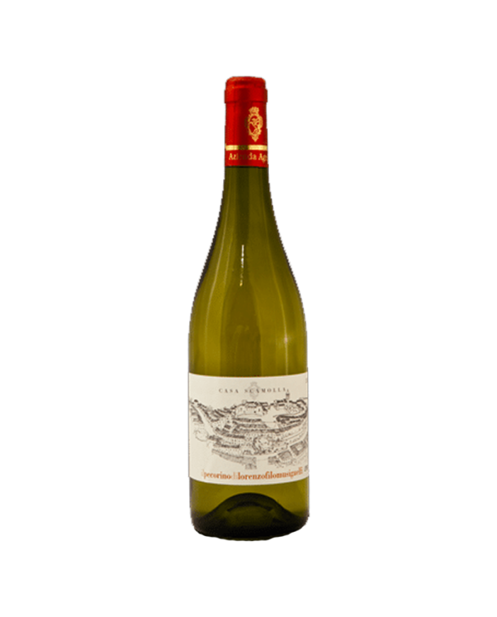 Witte Wijnen  Casa Scamolla Pecorino Colline Pescaresi I.G.T. 2020 - Filomusi Guelfi 14,75 €