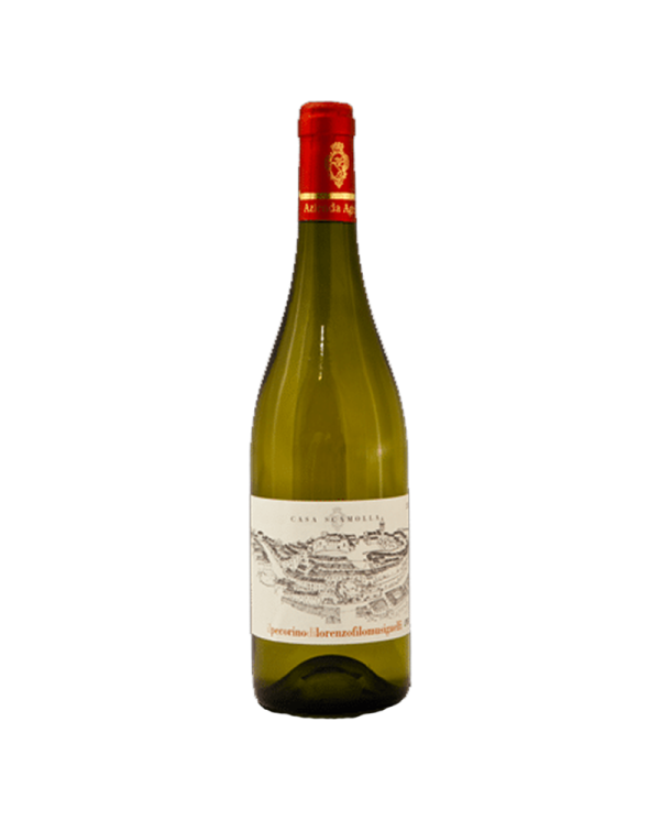 White wines  Casa Scamolla Pecorino Colline Pescaresi I.G.T. 2020 - Filomusi Guelfi 14,75 â‚¬ White wines  Casa Scamolla Pecorino Colline Pescaresi I.G.T. 2020 - Filomusi Guelfi 14,75 â‚¬