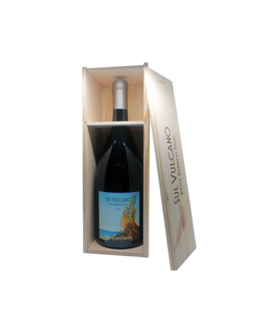 Witte Wijnen Etna Bianco Sul Vulcano 2021 Magnum - Donnafugata 44,81 € Witte Wijnen Etna Bianco Sul Vulcano 2021 Magnum - Donnafugata 44,81 €