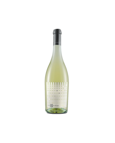 White wines  Toscianello - Frizzante Bianco - Cantina Dei Colli Ripani 5,45 € White wines  Toscianello - Frizzante Bianco - Cantina Dei Colli Ripani 5,45 €