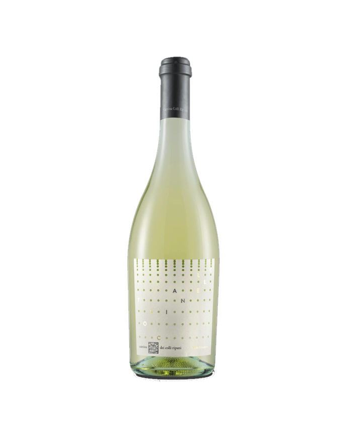 Vini Bianchi  Toscianello - Frizzante Bianco - Cantina Dei Colli Ripani 5,45 €
