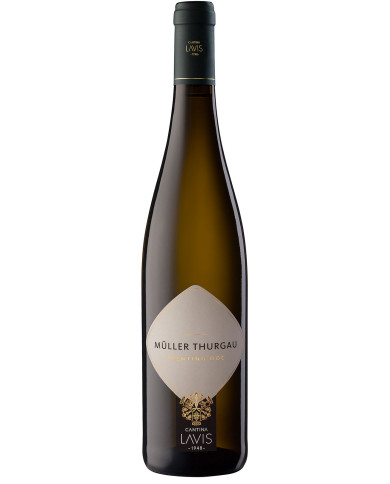 White wines  Müller Thurgau Trentino DOC 2022 - La Vis 9,00 € White wines  Müller Thurgau Trentino DOC 2022 - La Vis 9,00 €