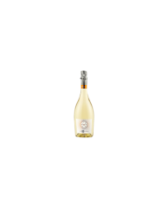 Vini Bianchi  Olimpus - Moscato Spumante Dolce - Cantina Dei Colli Ripani 8,11 €