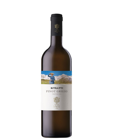 White wines  Ritratti Pinot Grigio Trentino DOC 2021 - La Vis 12,30 € White wines  Ritratti Pinot Grigio Trentino DOC 2021 - La Vis 12,30 €