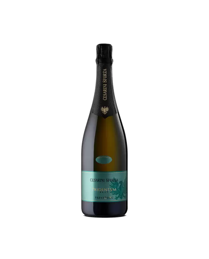 Vini Grandi Formati  Tridentvm Spumante Brut Metodo Classico Trento DOC 2015 Magnum - Cesarini Sforza 43,40 €