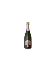 White wines  Franciacorta DOCG Extra Brut Riserva Palazzo Lana Extreme 2011 - Berlucchi 55,40 â‚¬ White wines  Franciacorta DOCG Extra Brut Riserva Palazzo Lana Extreme 2011 - Berlucchi 55,40 â‚¬