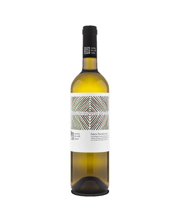 Witte Wijnen  BIO Falerio Pecorino DOC 2020 - Cantina Dei Colli Ripani 6,07 â‚¬ Witte Wijnen  BIO Falerio Pecorino DOC 2020 - Cantina Dei Colli Ripani 6,07 â‚¬