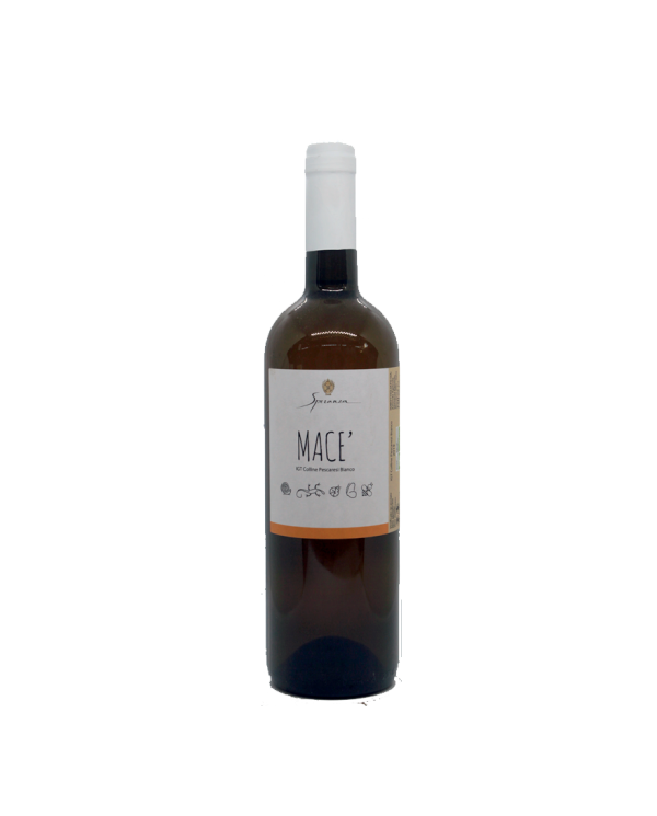 White wines  Macè Bianco IGT Colline Pescaresi 2021 - Speranza 13,58 â‚¬ White wines  Macè Bianco IGT Colline Pescaresi 2021 - Speranza 13,58 â‚¬