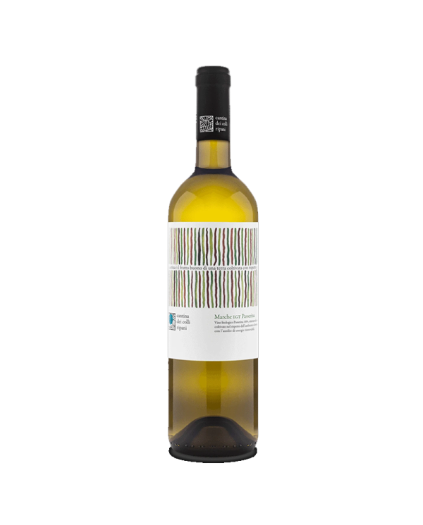 Witte Wijnen  BIO Marche IGT Passerina 2020 - Cantina Dei Colli Ripani 6,51 â‚¬ Witte Wijnen  BIO Marche IGT Passerina 2020 - Cantina Dei Colli Ripani 6,51 â‚¬