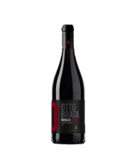 Red Wines  Ottobrata Novello Rosso Terre di Chieti IGT 2023 - Casalbordino 5,25&nbsp;€