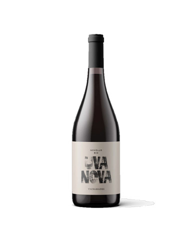 Red Wines  Novello Uva Nova Terre di Chieti IGP 2023 - Vigna Madre 5,02 € Red Wines  Novello Uva Nova Terre di Chieti IGP 2023 - Vigna Madre 5,02 €