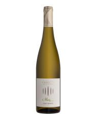 White wines  Moriz Pinot Bianco Alto Adige DOC 2022 Magnum - Cantina Tramin 30,20 â‚¬ White wines  Moriz Pinot Bianco Alto Adige DOC 2022 Magnum - Cantina Tramin 30,20 â‚¬