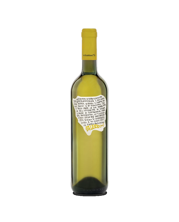 White wines  Falerio DOC 2020 Linea 'settantase77e - Cantina Dei Colli Ripani 4,83 €