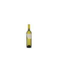 White wines  Falerio DOC 2020 Linea 'settantase77e - Cantina Dei Colli Ripani 4,83 €