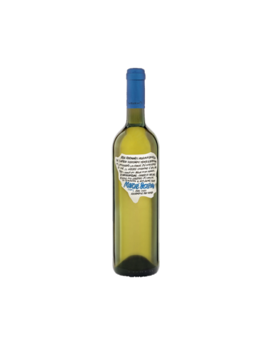 White wines  Marche IGT Passerina 2020 Linea 'settantase77e - Cantina Dei Colli Ripani 6,51 €