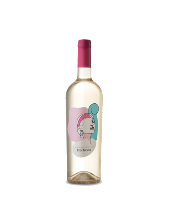 White wines  Il Capriccio della Duchessa Bianco Linea Top Blend - Duchi di castelluccio 8,40 â‚¬ White wines  Il Capriccio della Duchessa Bianco Linea Top Blend - Duchi di castelluccio 8,40 â‚¬