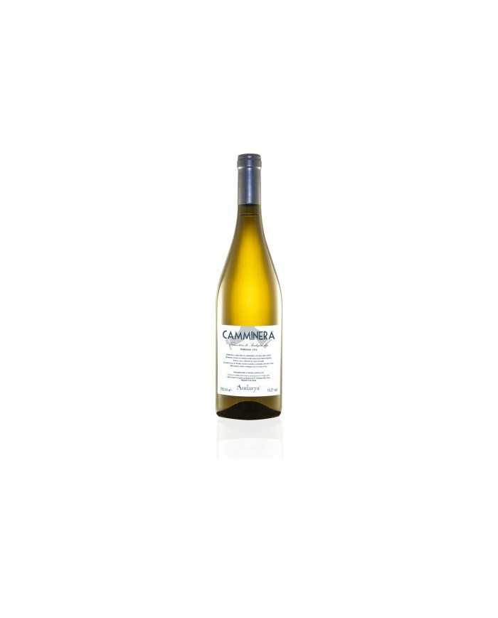 Vini Bianchi  Vermentino di Sardegna Camminera 2022 magnum - Audarya 47,95 € Vini Bianchi  Vermentino di Sardegna Camminera 2022 magnum - Audarya 47,95 €