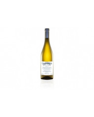 Vini Bianchi  Vermentino di Sardegna Camminera 2022 magnum - Audarya 47,95 € Vini Bianchi  Vermentino di Sardegna Camminera 2022 magnum - Audarya 47,95 €