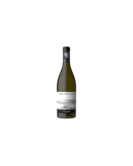 White wines  SVGB Sauvignon Blanc 2019 - Andrea Formilli Fendi 66,40 â‚¬ White wines  SVGB Sauvignon Blanc 2019 - Andrea Formilli Fendi 66,40 â‚¬