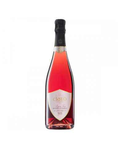Vini Rosè  Metodo Classico Regina Lucia Rosè Brut - Ciatò 20,49 € Vini Rosè  Metodo Classico Regina Lucia Rosè Brut - Ciatò 20,49 €