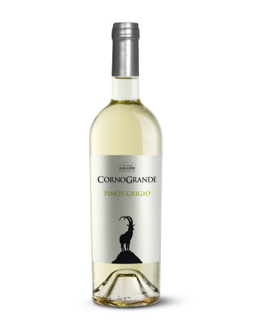 Witte Wijnen  Corno Grande Pinot Grigio IGT Premium 2022 - Ettore Galasso 12,87 €