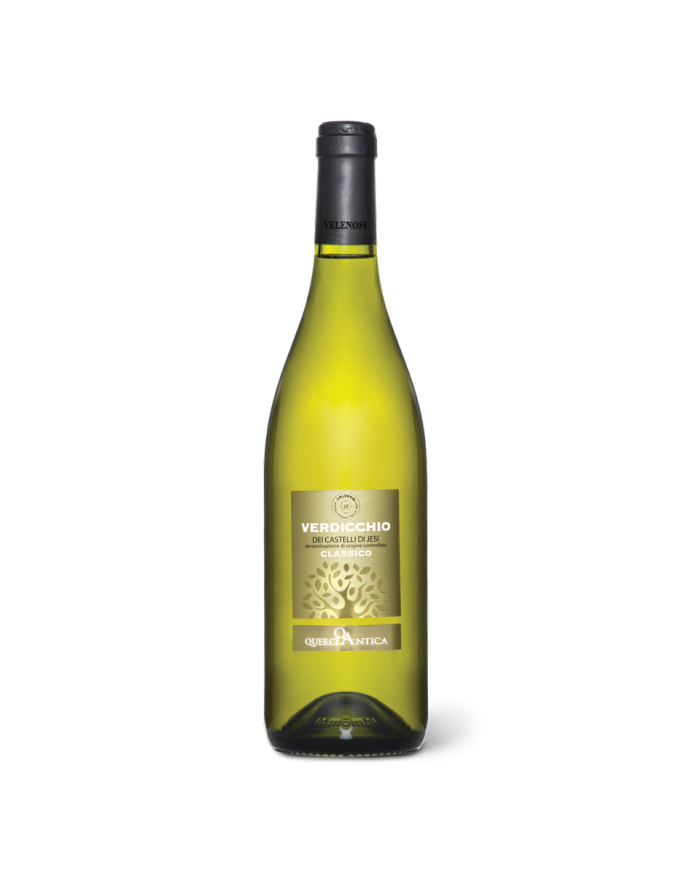 Vini Bianchi  Querciantica Verdicchio dei Castelli di Jesi Doc Classico 2022 - Velenosi 8,70 â‚¬ Vini Bianchi  Querciantica Verdicchio dei Castelli di Jesi Doc Classico 2022 - Velenosi 8,70 â‚¬