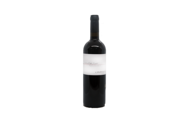 Vini Rossi  Montepulciano d’Abruzzo DOC 2010 – Francesco Paolo Michetti - Cantina Rapino 11,80&nbsp;€