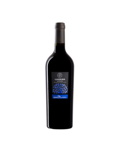 Rode wijnen  Querciantica' Lacrima di Morro d'Alba DOC 2022 - Velenosi 11,48&nbsp;€