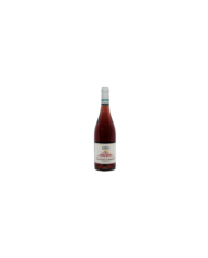 Rosé-Weine  Cerasuolo D'Abruzzo DOC 2020 - Cantina Rapino 7,03 â‚¬ Rosé-Weine  Cerasuolo D'Abruzzo DOC 2020 - Cantina Rapino 7,03 â‚¬