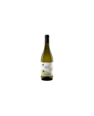 Witte Wijnen  Prope Trebbiano d’Abruzzo DOC 2022 - Velenosi 8,50 €