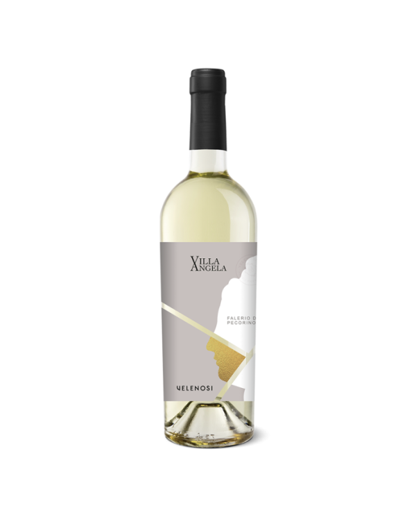 Vini Bianchi  VILLA ANGELA Offida DOCG Pecorino 2022 Magnum - Velenosi 23,70 €