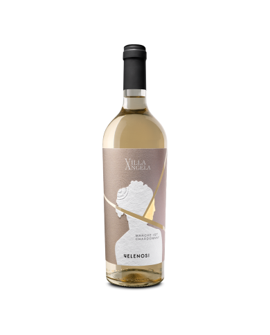 Witte Wijnen  Villa Angela Chardonnay Marche IGT 2023 - Velenosi 8,80&nbsp;€