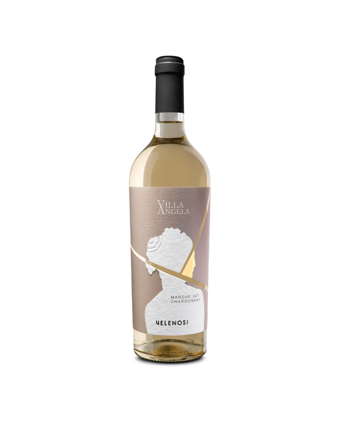 Vini Bianchi  Villa Angela Chardonnay Marche IGT 2023 - Velenosi 8,80 â‚¬ Vini Bianchi  Villa Angela Chardonnay Marche IGT 2023 - Velenosi 8,80 â‚¬