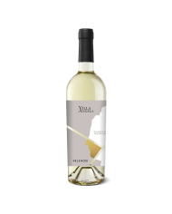 Witte Wijnen  Villa Angela Pecorino Falerio Doc 2022 - Velenosi 9,50 €