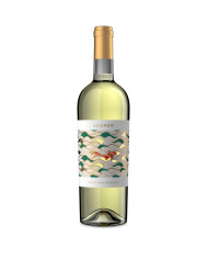 Vini Bianchi  Villa Angela Offida DOCG Pecorino 2022 - Velenosi 12,70 â‚¬ Vini Bianchi  Villa Angela Offida DOCG Pecorino 2022 - Velenosi 12,70 â‚¬