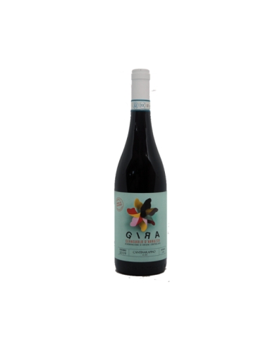 Rosé-Weine  Cerasuolo D'Abruzzo DOC 2019 Gira - Cantina Rapino 12,29 â‚¬ Rosé-Weine  Cerasuolo D'Abruzzo DOC 2019 Gira - Cantina Rapino 12,29 â‚¬