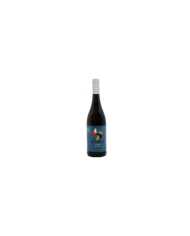 White wines  Pecorino Terre di Chieti IGT 2018 Gira - Cantina Rapino 12,29 â‚¬ White wines  Pecorino Terre di Chieti IGT 2018 Gira - Cantina Rapino 12,29 â‚¬