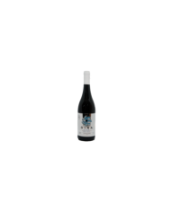 White wines  Passerina Terre di Chieti IGT 2019 Gira - Cantina Rapino 12,29 €