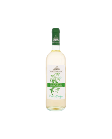 White wines  Pecorino d’Abruzzo IGT 2020 Colline Pescaresi - Duchi di Castelluccio 5,45 € White wines  Pecorino d’Abruzzo IGT 2020 Colline Pescaresi - Duchi di Castelluccio 5,45 €